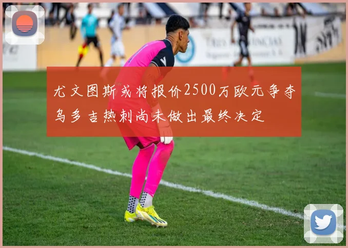 尤文图斯或将报价2500万欧元争夺乌多吉热刺尚未做出最终决定